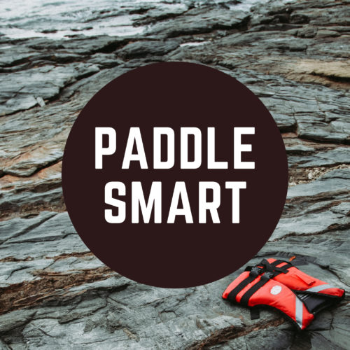 main-Paddle Smart